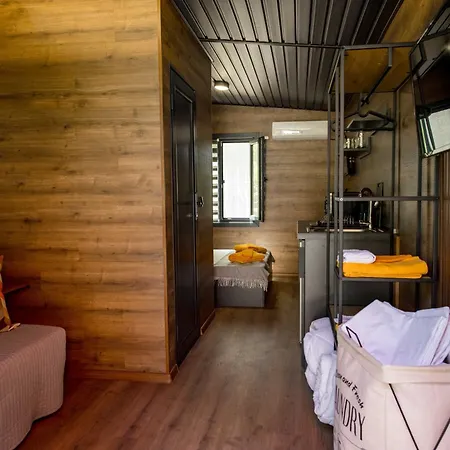 Albatross Family Nest Breeze فارنا