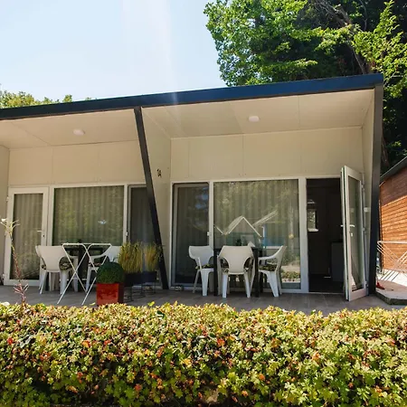 Albatross Family Nest Breeze فارنا