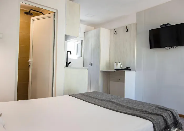 Albatross Family Nest Breeze * فارنا