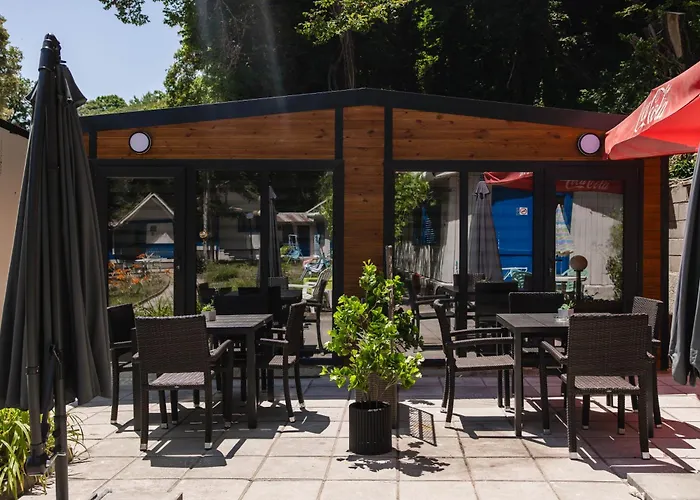 Albatross Family Nest Breeze فارنا