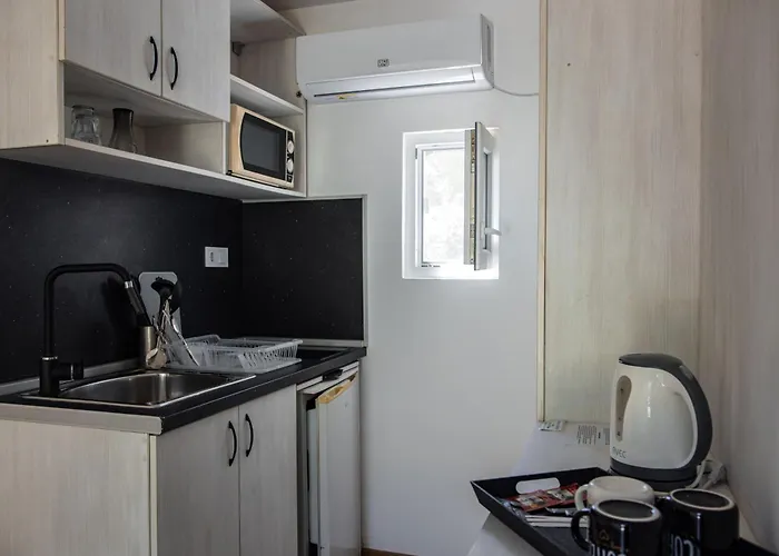 Albatross Family Nest Breeze فارنا