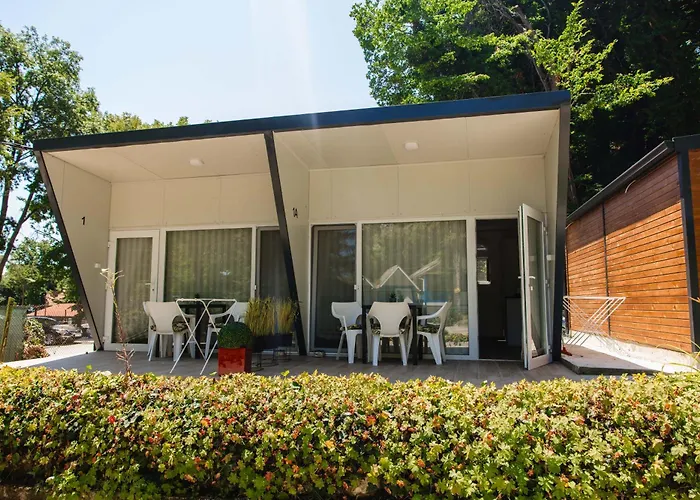 Albatross Family Nest Breeze فارنا